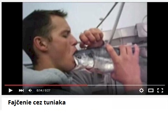 8 bez mozgu