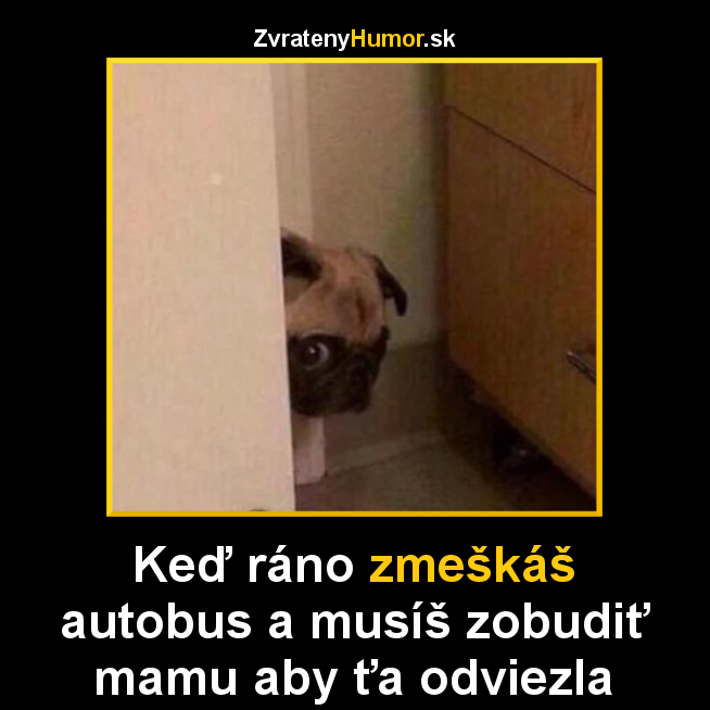 9 mama