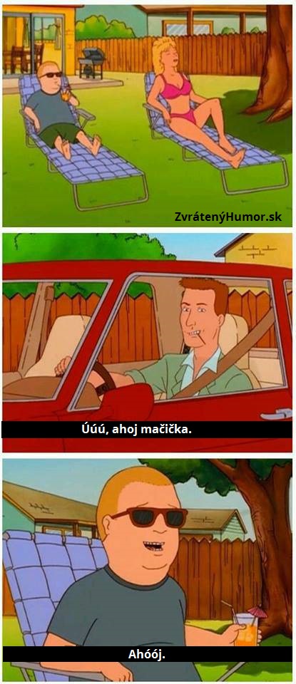 Kočka