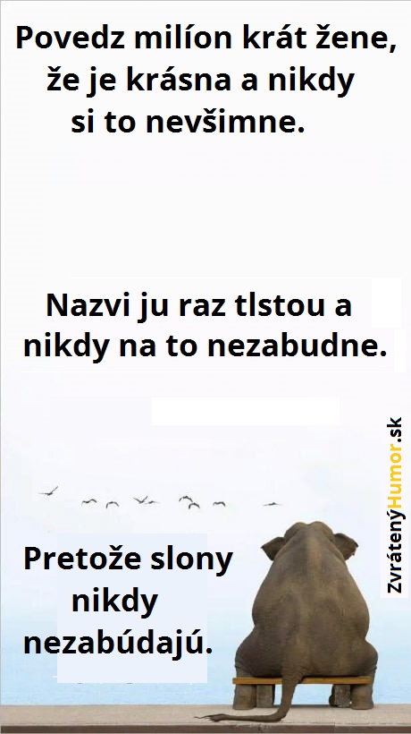 SlonyNezabudajú