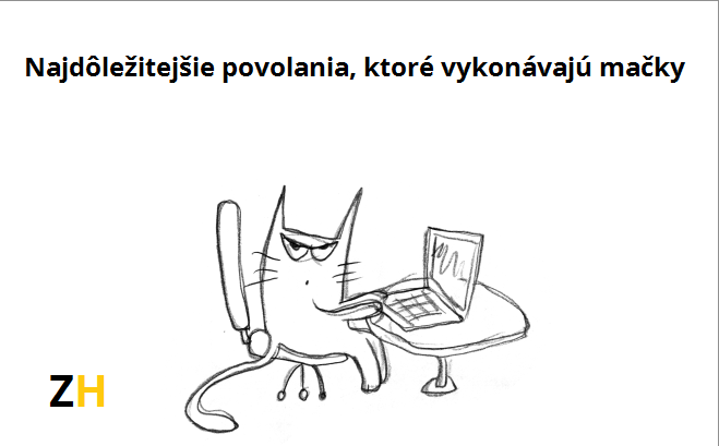 13 dôležitých povolaní, ktoré vykonáva vaša mačka
