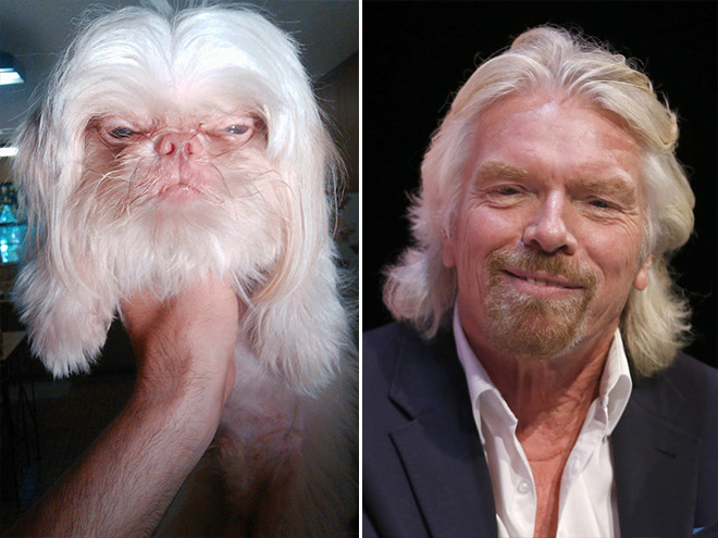 celebrity1