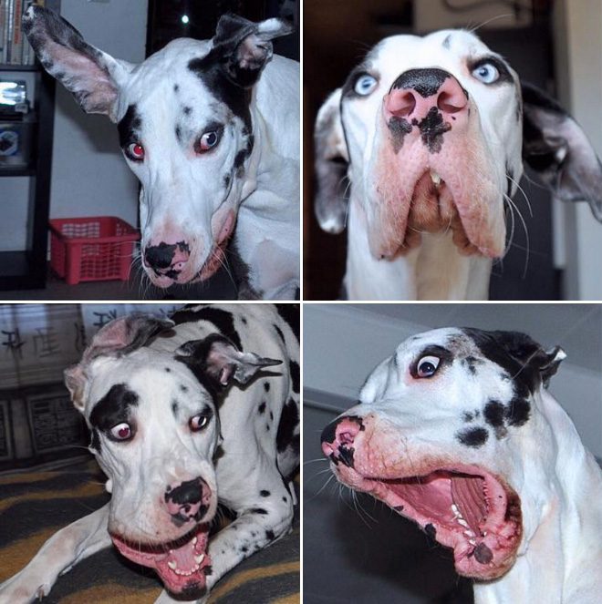 derpy10