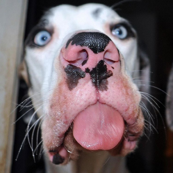 derpy2