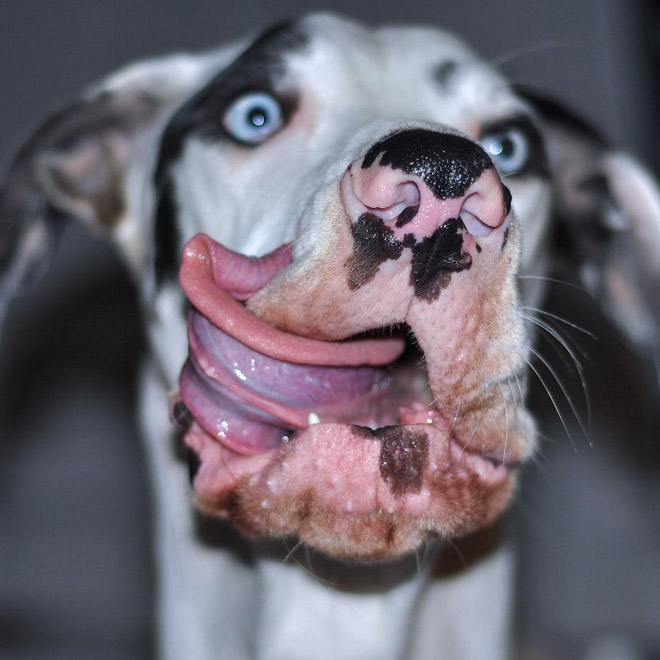 derpy6