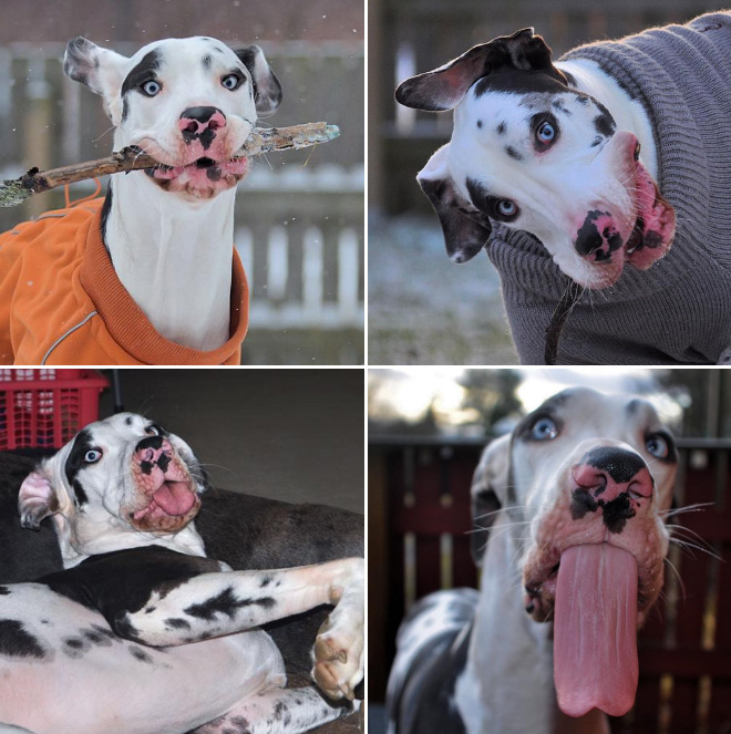 derpy7