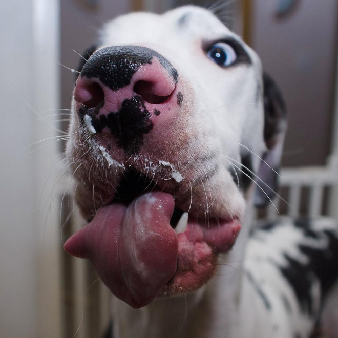 derpy8