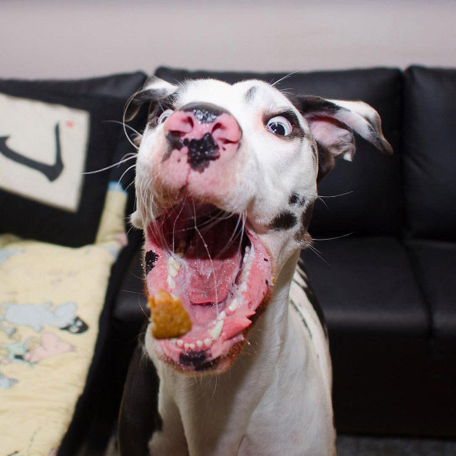 derpy9