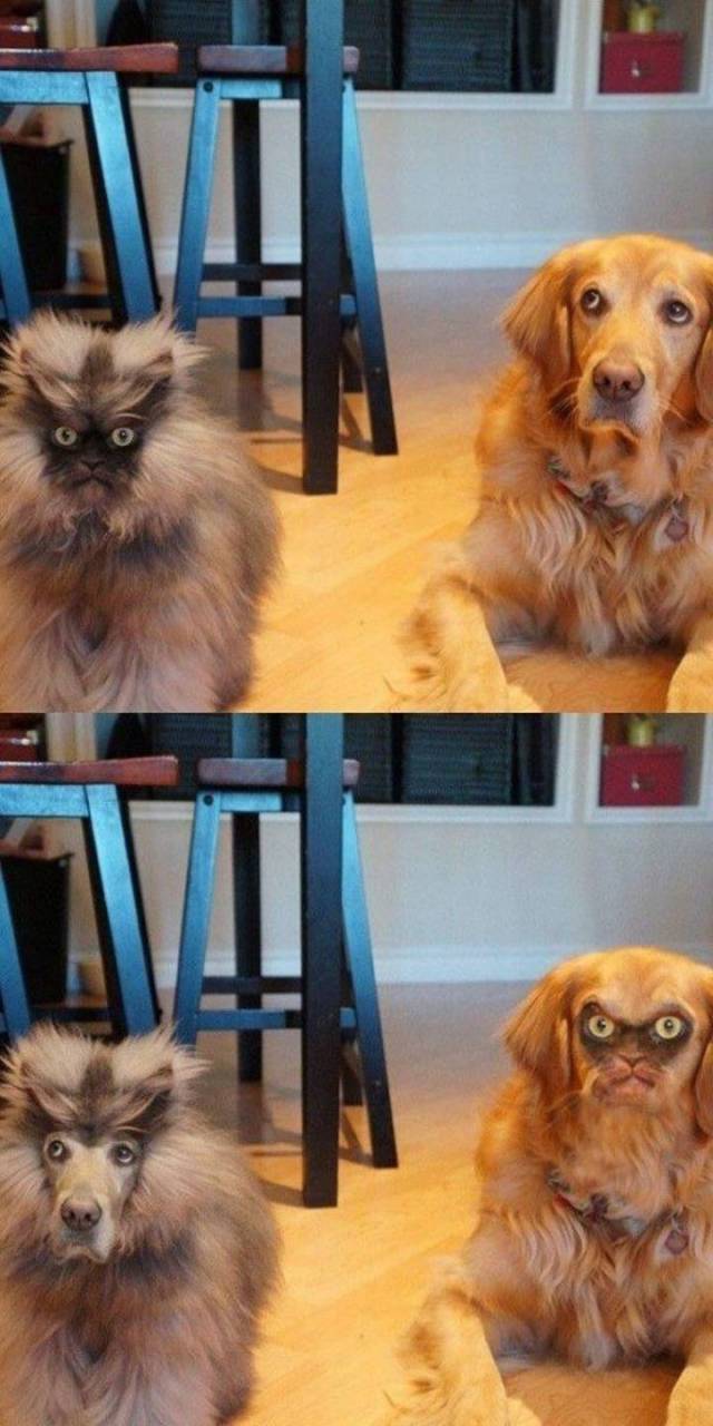 faceswap (25)