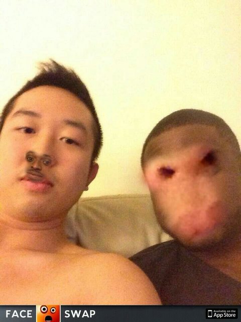 faceswap 31
