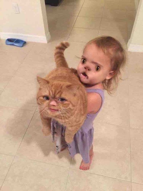 faceswap 33
