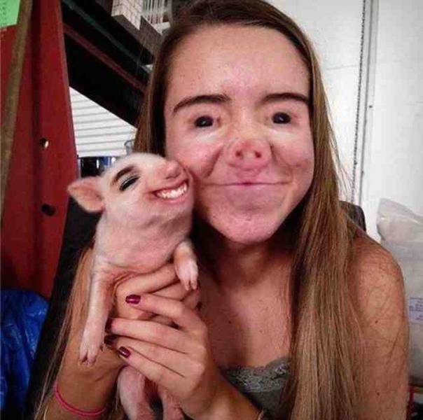 faceswap (7)