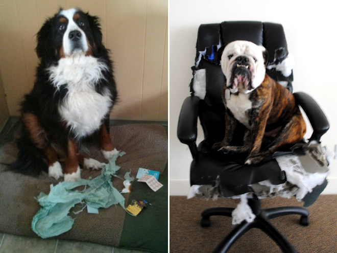 nevinny 4