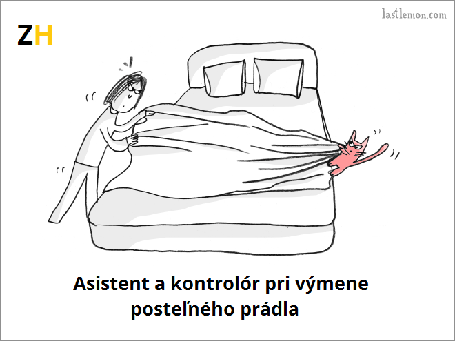 povolania 7
