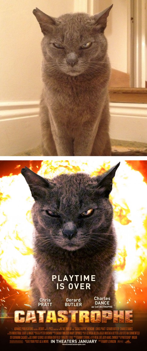 filmove plagaty 13