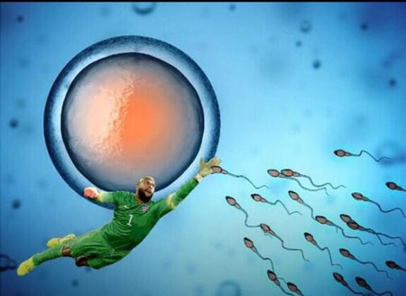 timhoward-6