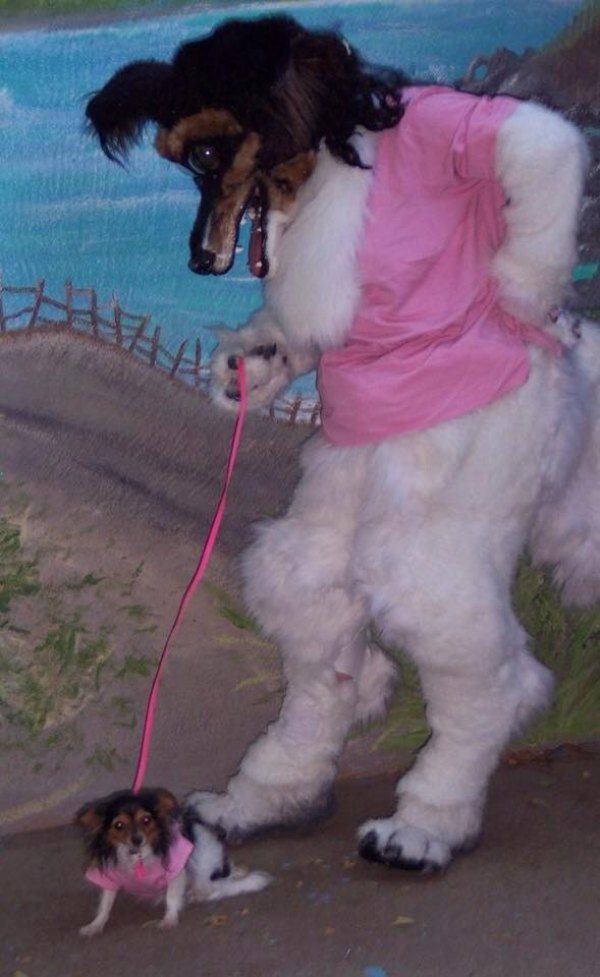 bizarnosti 4