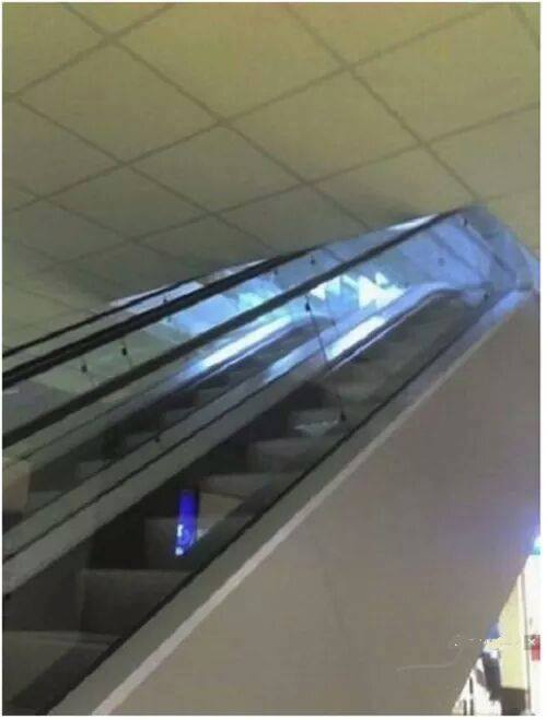 10154085_989123391179674_4079748271062187775_n