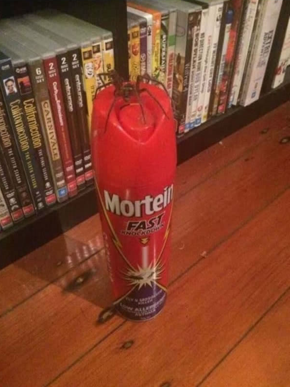 11 nestastie