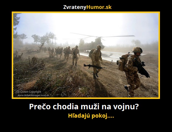 vojna
