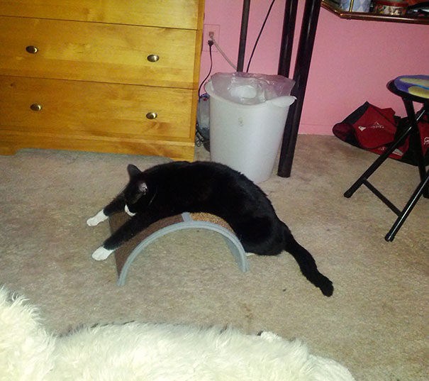 logika4