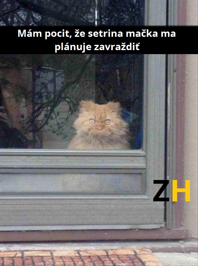 Planovanie