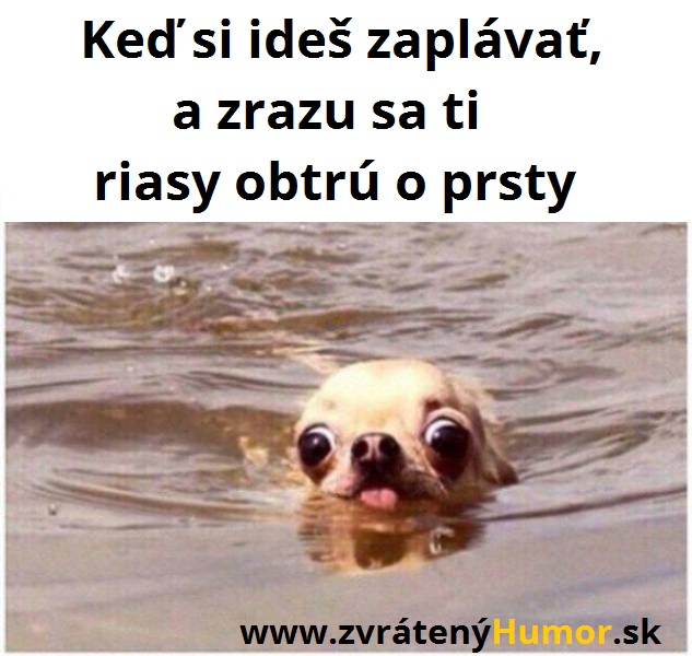 Riasy