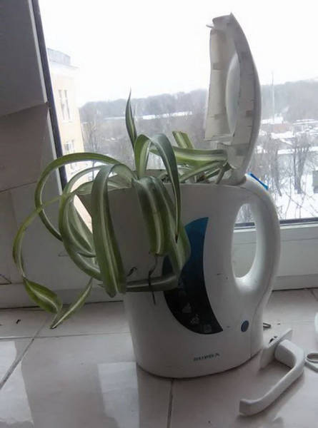 RuskoJeSuper (22)