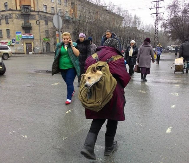 RuskoJeSuper (6)