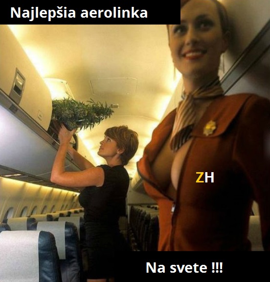 aerolinka