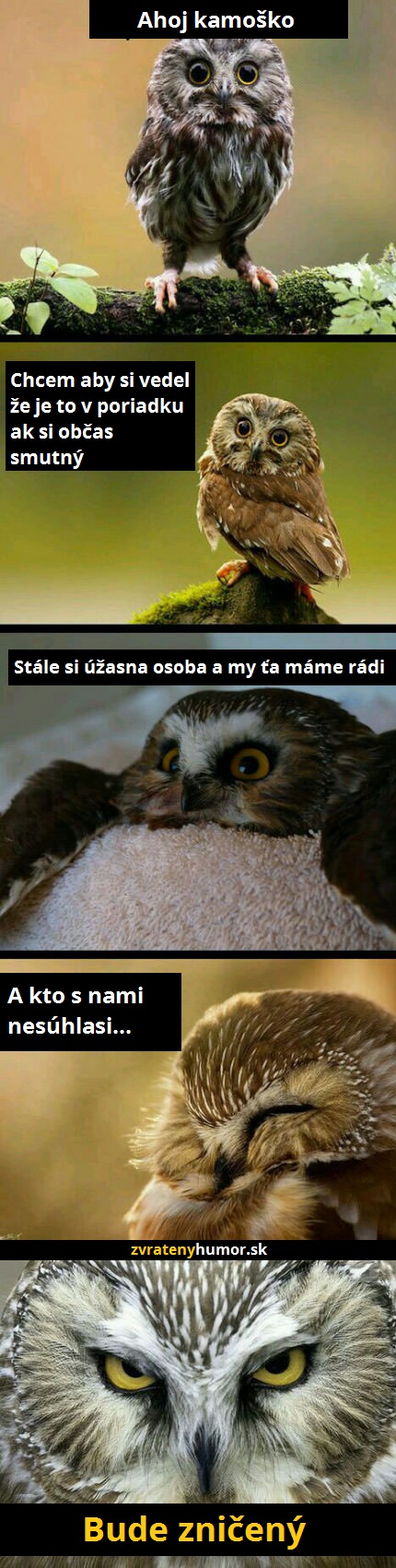 sovičky