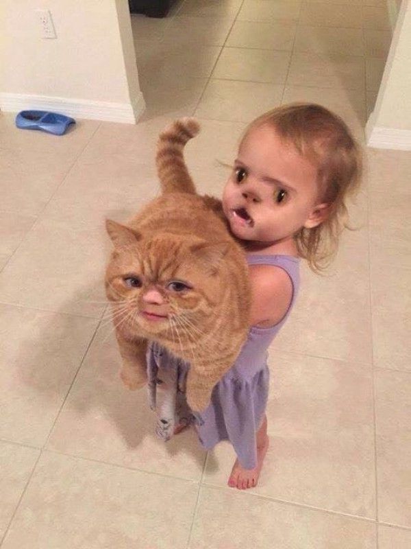 daily-afternoon-randomness-49-photos-4