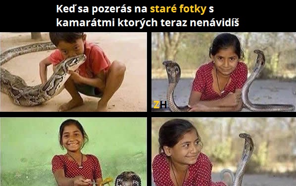 kamarati
