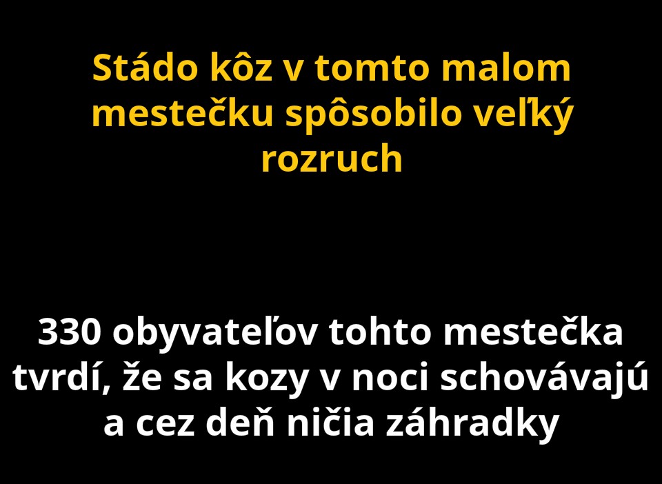 kozy 1
