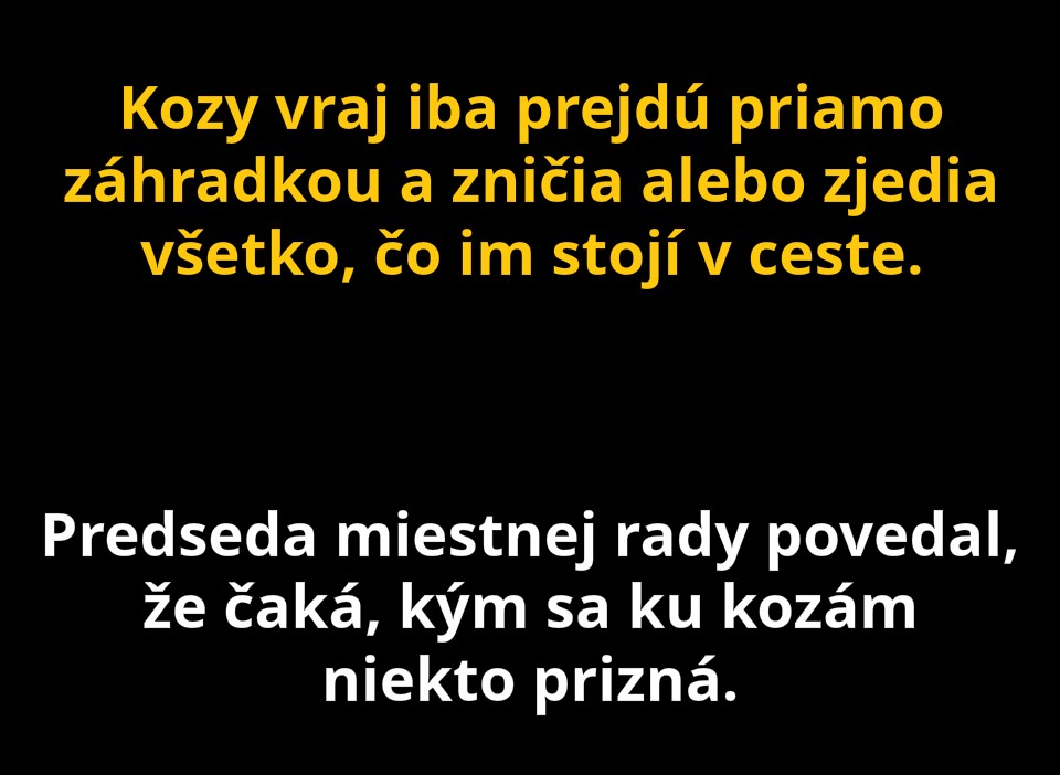 kozy 2