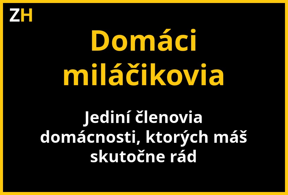 pravy vyznam 12