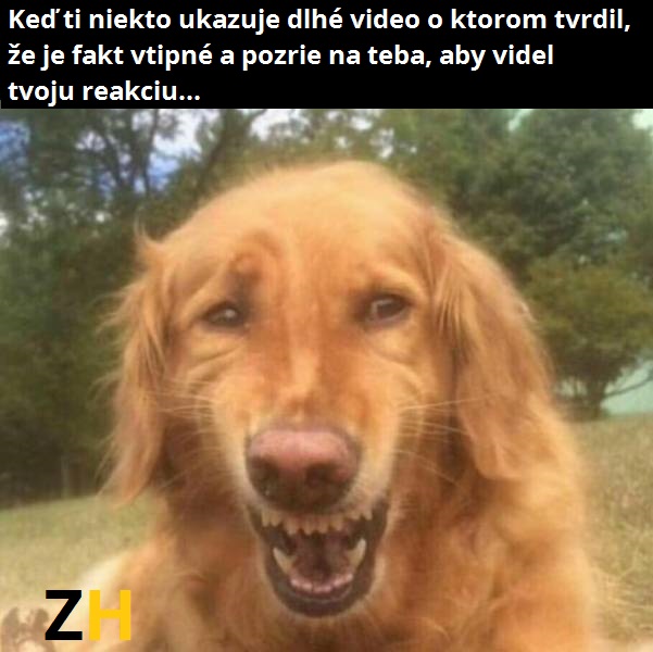 reakcia
