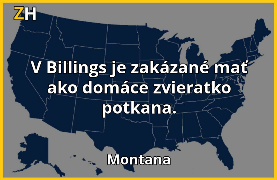 stupidne zakony 12
