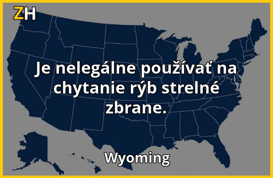 stupidne zakony 15