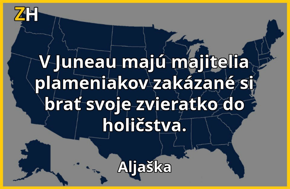 stupidne zakony 2