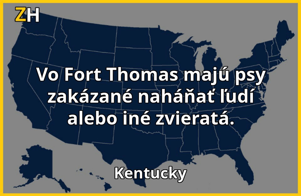stupidne zakony 5