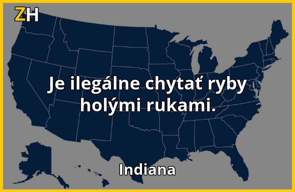 stupidne zakony 7