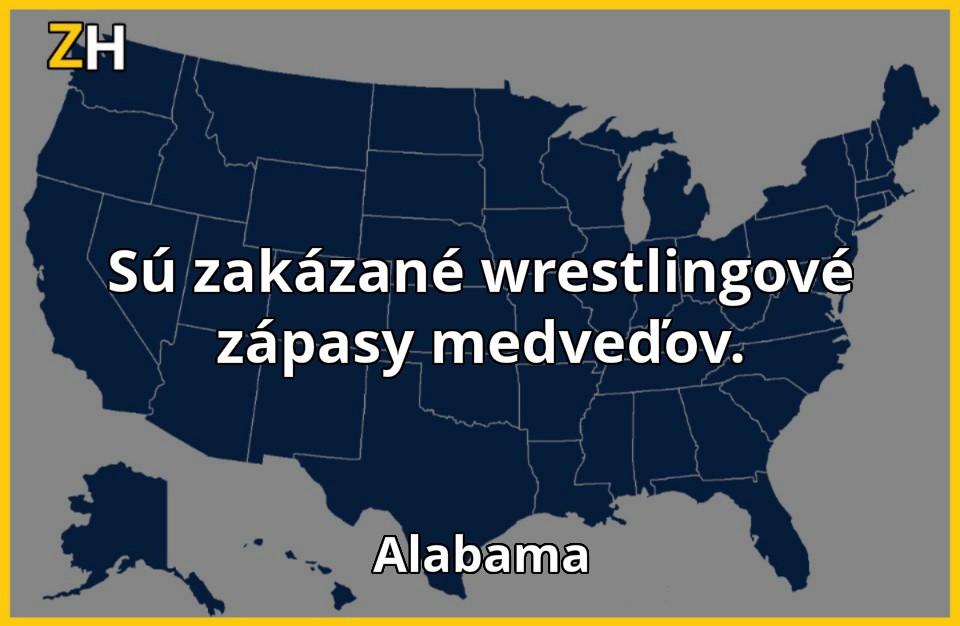 stupidne zakony 9