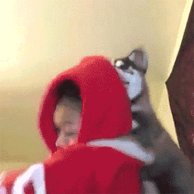 the-internets-funniest-gifs-1