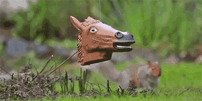 the-internets-funniest-gifs-12