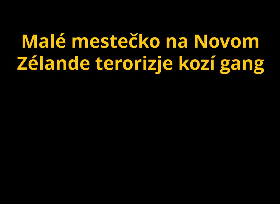 titulka