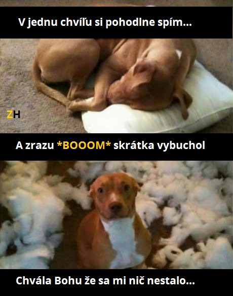 vankúš