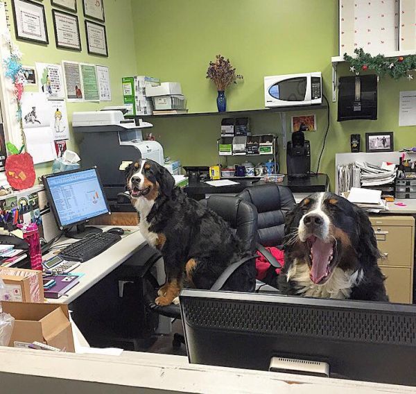 work-happens-27-photos-5