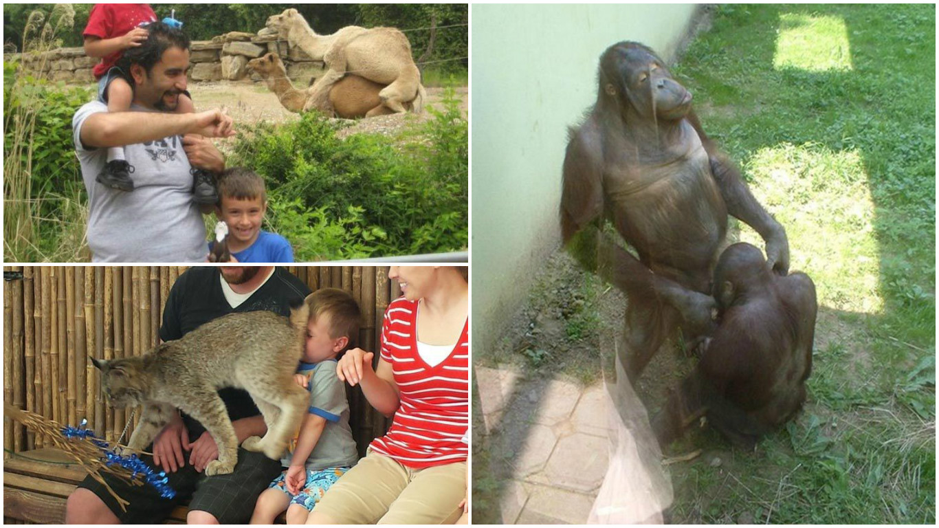 20 Obrázkov: Keď výlet do ZOO nedopadne úplne podľa predstáv