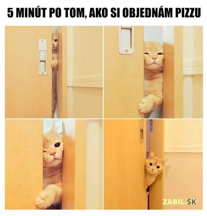 d2